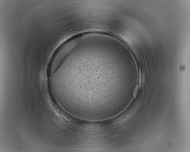 X0000094440435200711151408