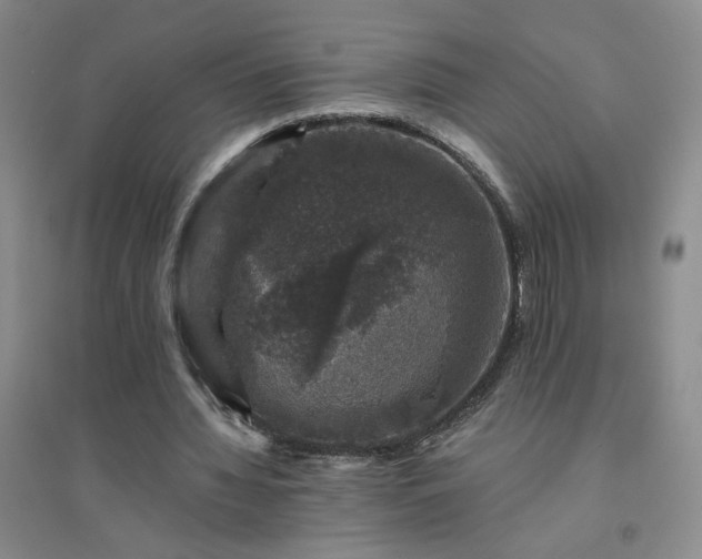 X0000094440436200711151408