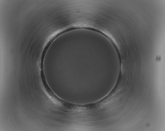 X0000094440438200711151408