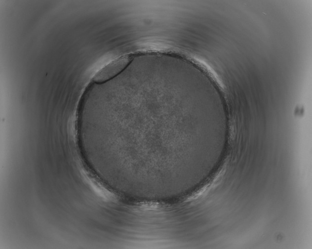 X0000094440439200711151408