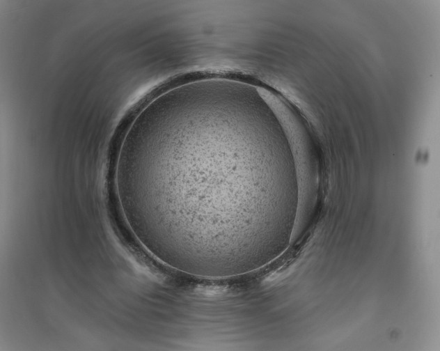 X0000094440440200711151408
