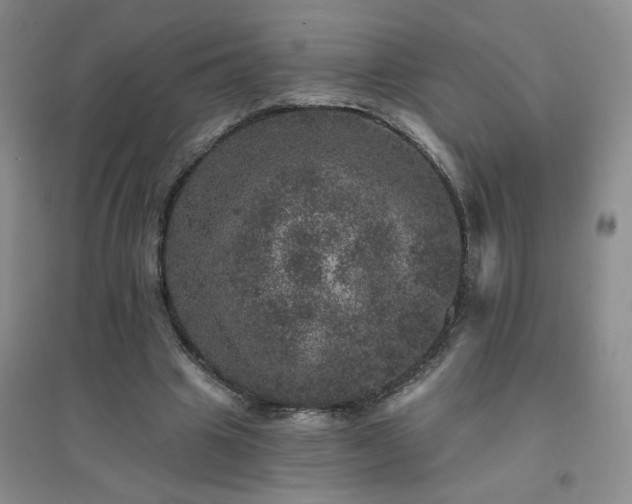 X0000094440441200711151408