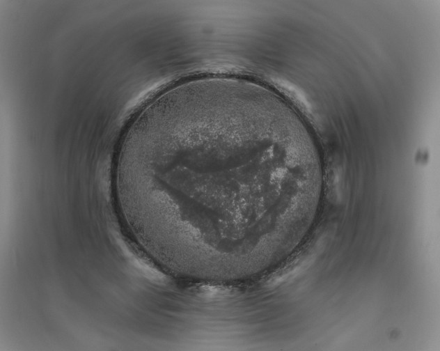 X0000094440442200711151408