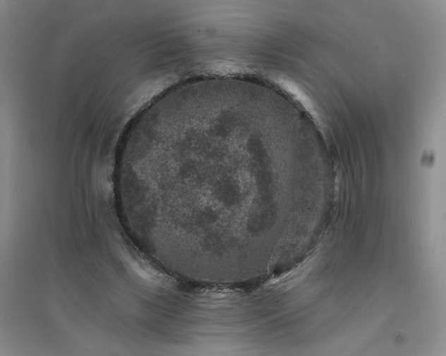 X0000094440443200711151408