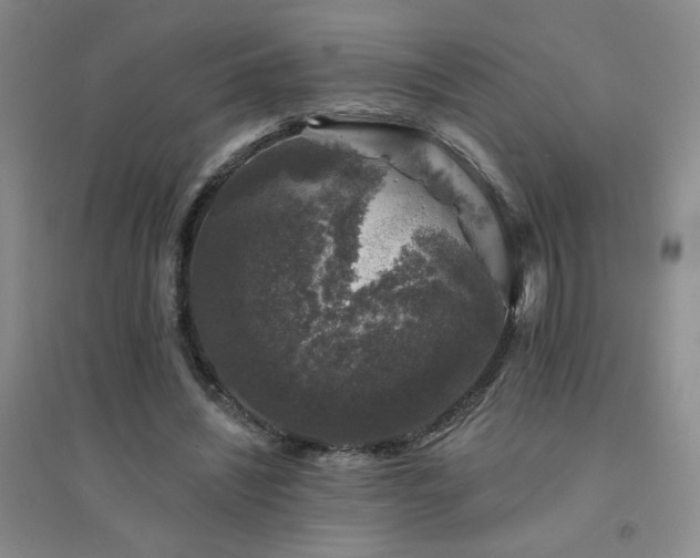 X0000094440444200711151408