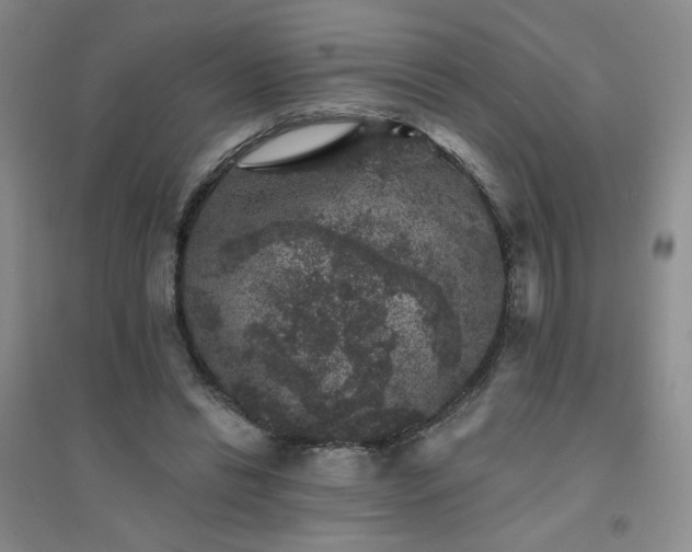 X0000094440446200711151408