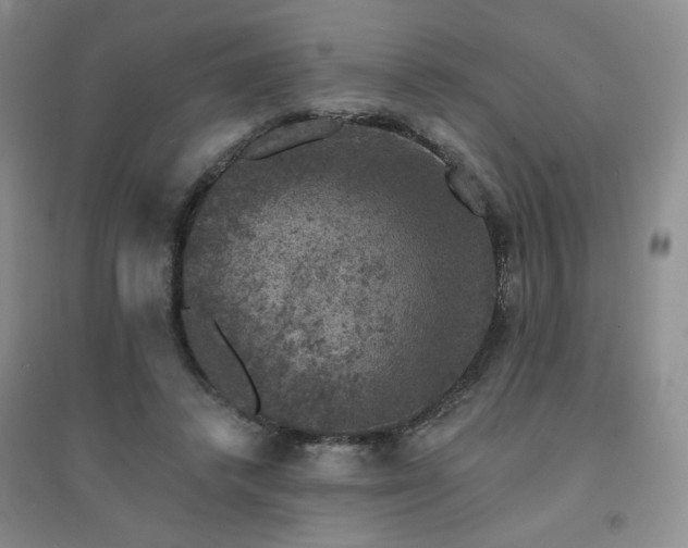 X0000094440448200711151409