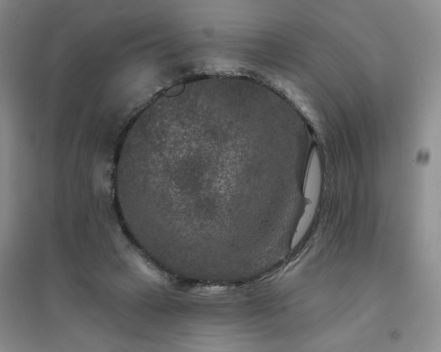 X0000094440449200711151409