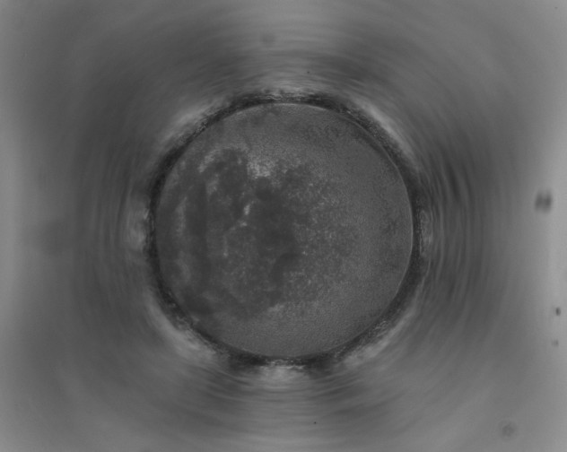 X0000094440451200711151409