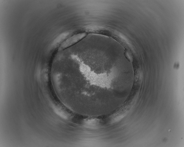 X0000094440452200711151409