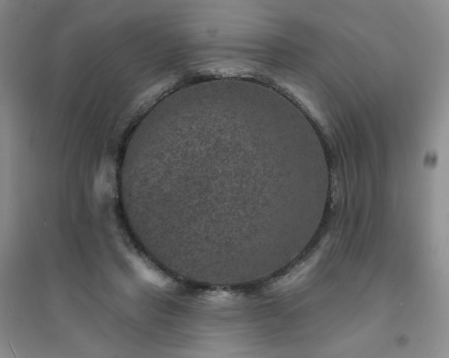 X0000094440453200711151409