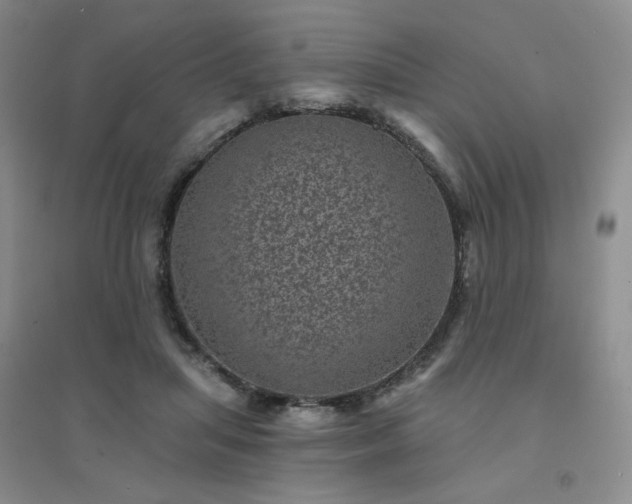 X0000094440455200711151409