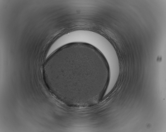 X0000094440456200711151409