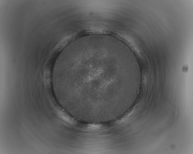 X0000094440457200711151409