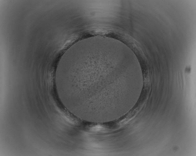 X0000094440460200711151409