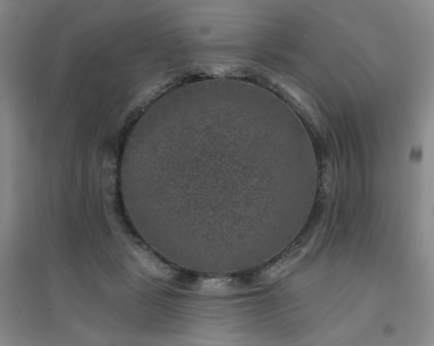 X0000094440461200711151409