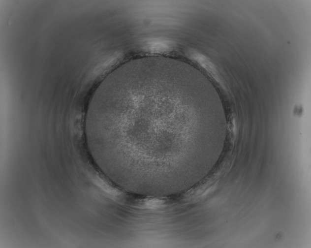X0000094440462200711151409