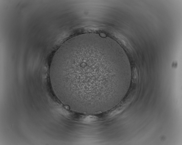 X0000094440463200711151409