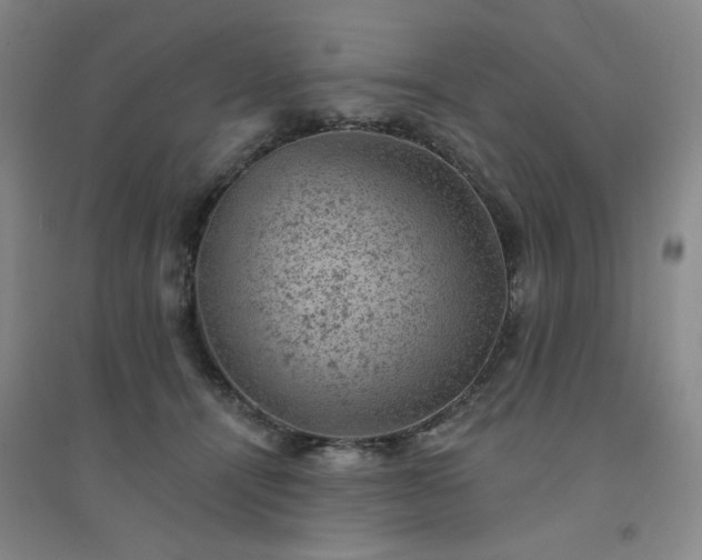 X0000094440464200711151409