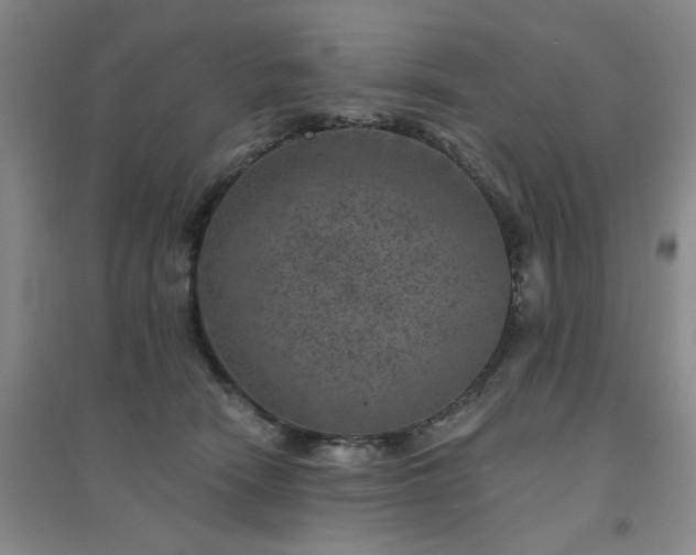 X0000094440466200711151409