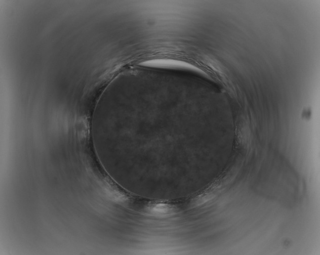 X0000094440467200711151409