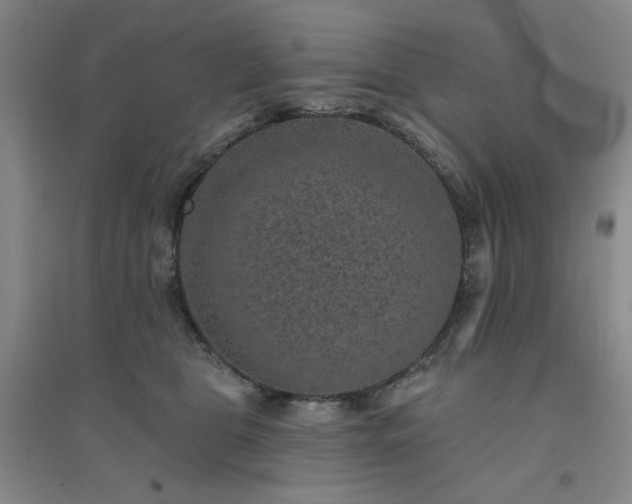 X0000094440469200711151409