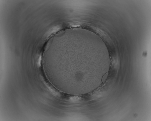 X0000094440470200711151409