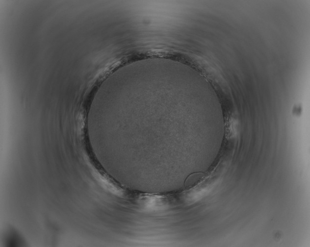 X0000094440472200711151409