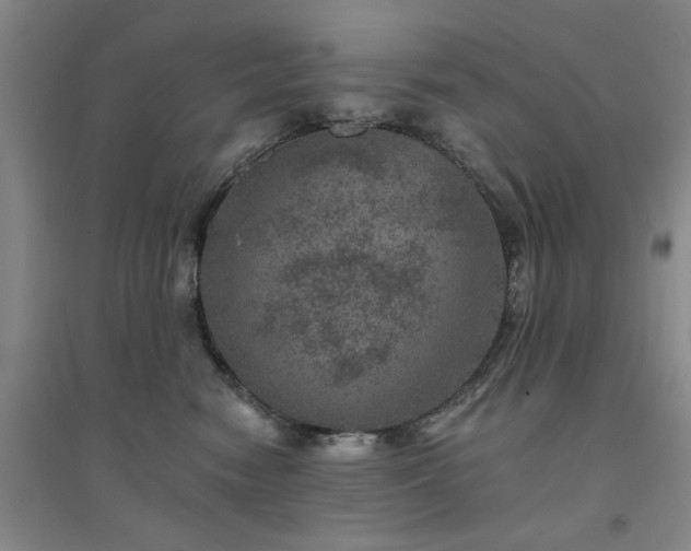 X0000094440474200711151409