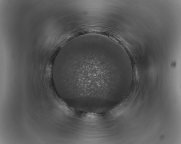 X0000094440475200711151409