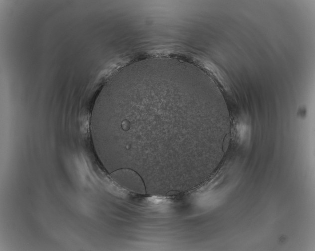 X0000094440477200711151409