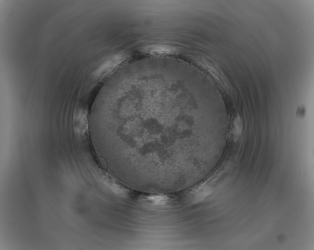 X0000094440478200711151409