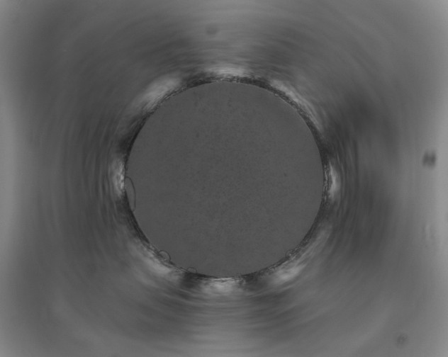 X0000094440479200711151409
