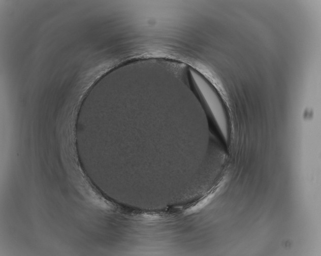 X0000094440481200711151408