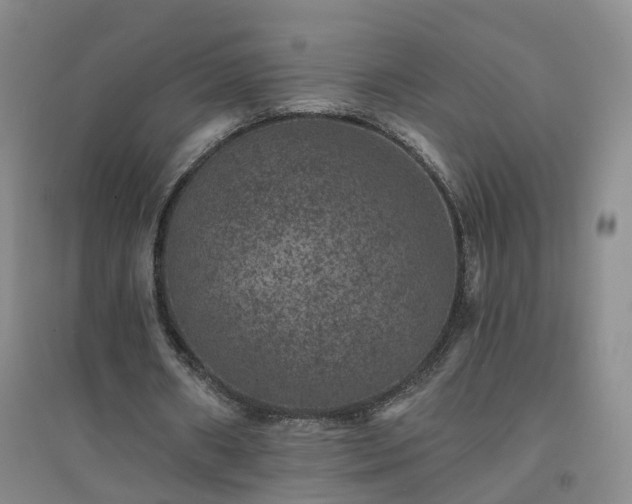 X0000094440482200711151408