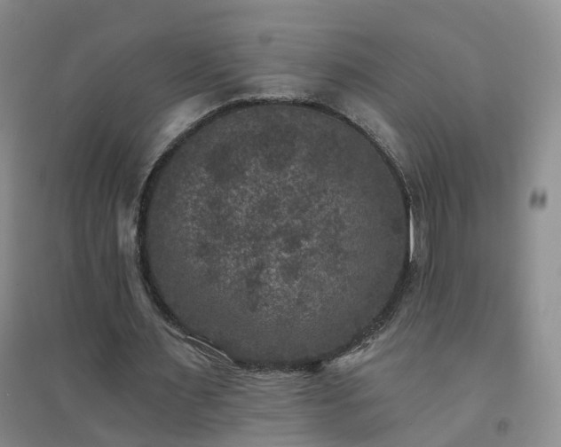 X0000094440483200711151408