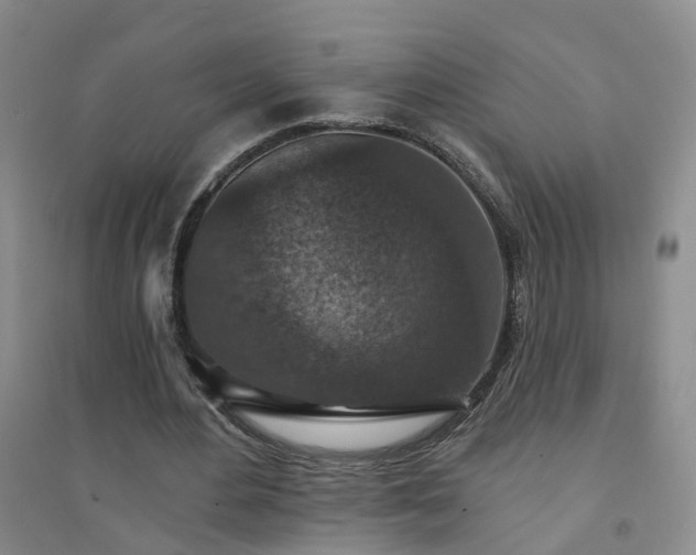 X0000094440484200711151408