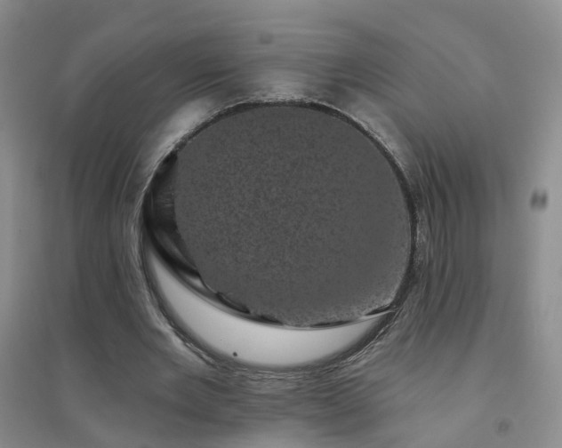 X0000094440485200711151408