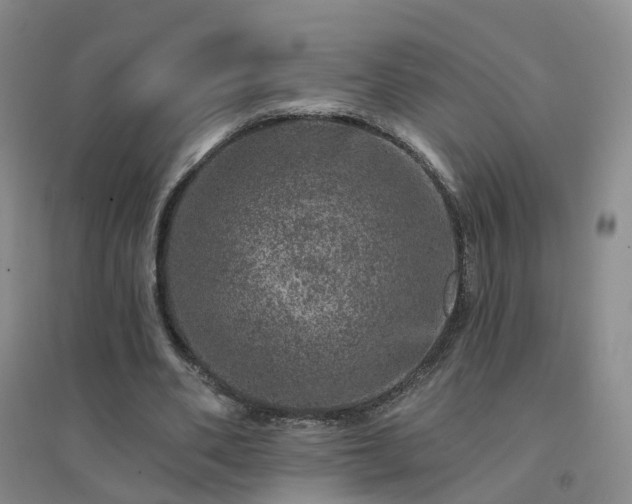 X0000094440486200711151408