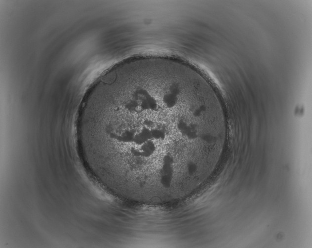 X0000094440487200711151408
