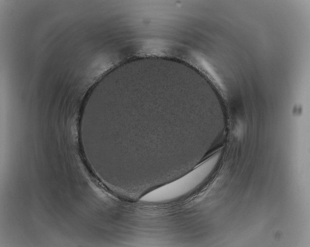 X0000094440489200711151408