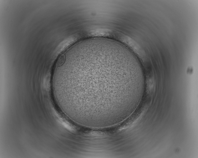 X0000094440490200711151408