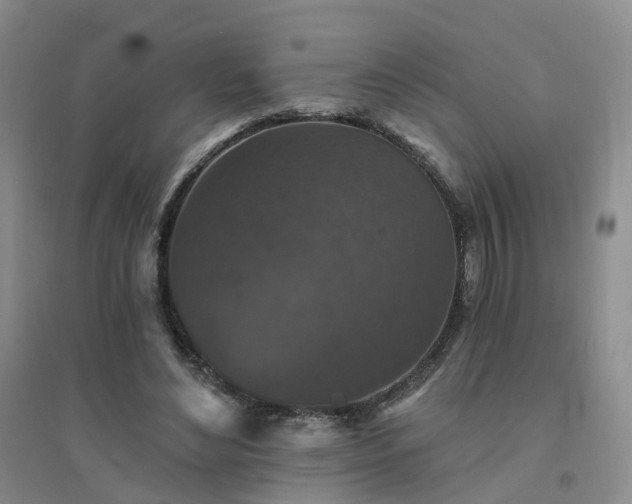 X0000094440492200711151408