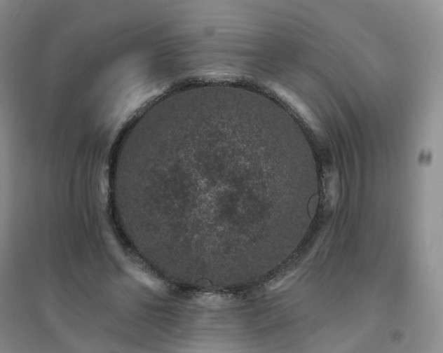 X0000094440494200711151408