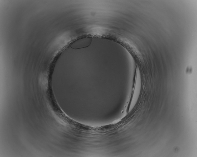 X0000094440496200711151408