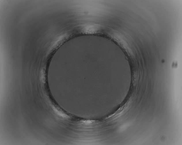 X0000094440497200711151408
