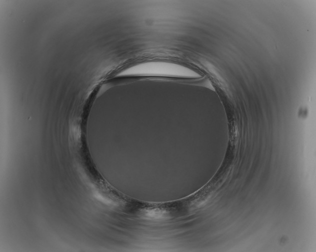 X0000094440500200711151408