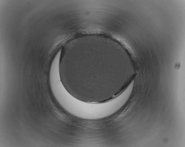 X0000094440501200711151408