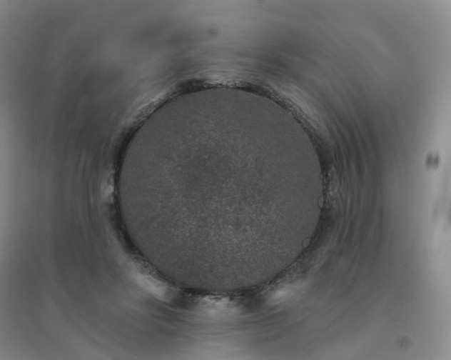 X0000094440502200711151408