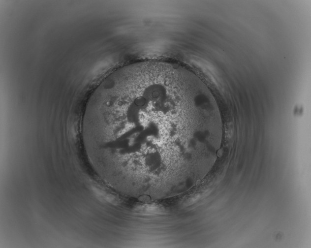X0000094440503200711151408